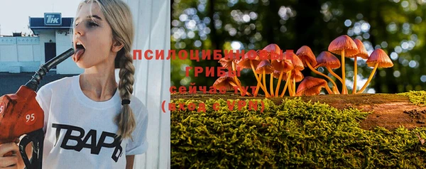 мдма Богородицк